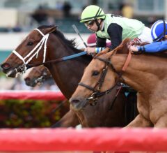 Flatlined Rallies Late to Take Saturday’s G2 Fort Lauderdale