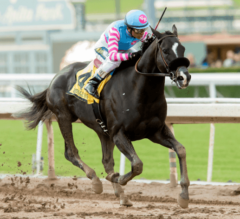 Without Arrogate, Midnight Storm Wins G2 San Pasqual