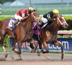 Sonic Mule Holds off Stretch-Long Challenge to Win Mucho Macho Man