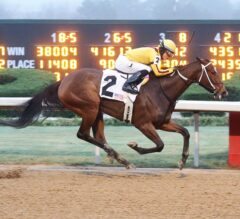 Terra Promessa Wins $125,000 Pippin, Remains Perfect at Oaklawn