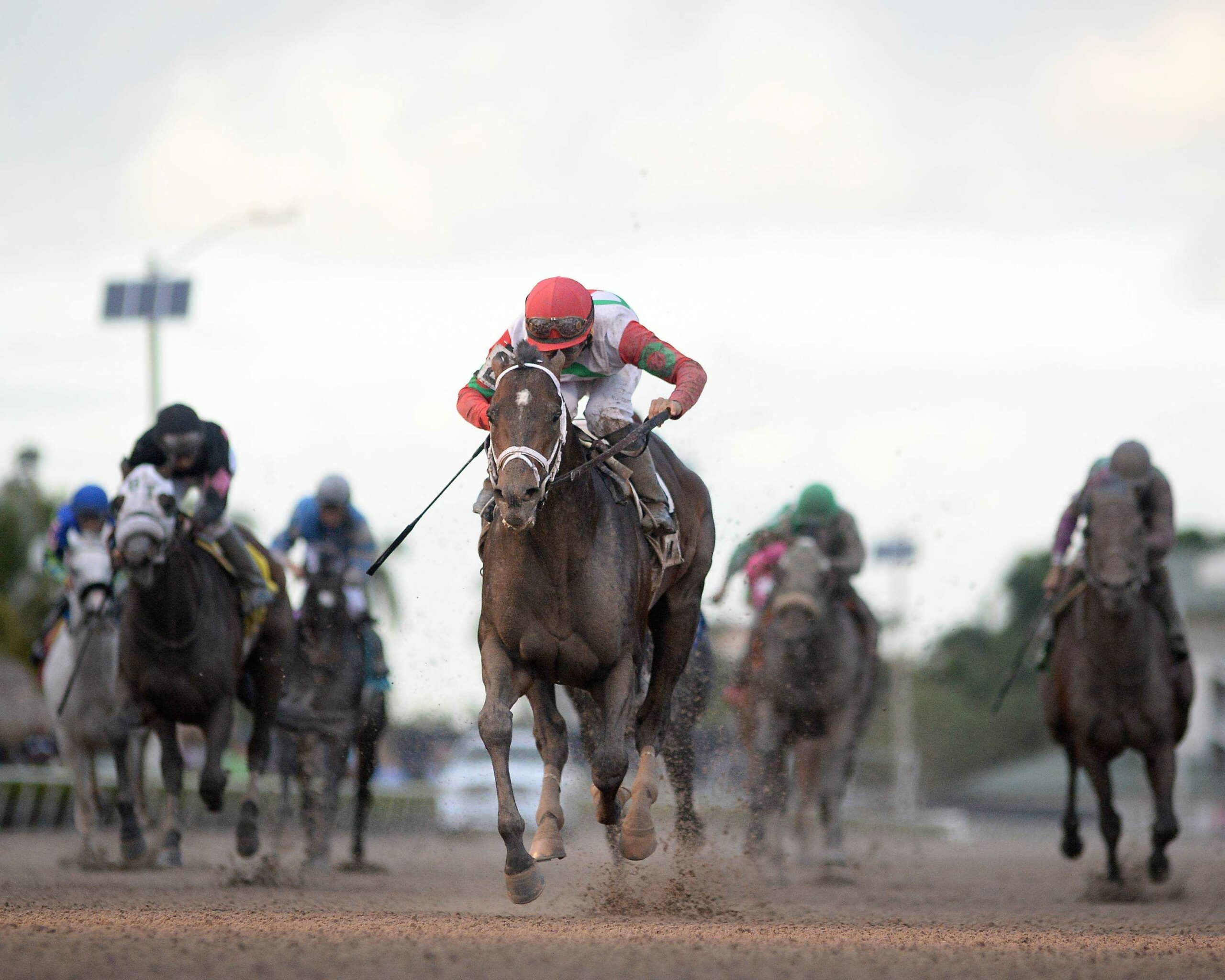 Racing Dudes Three Stars of the Week