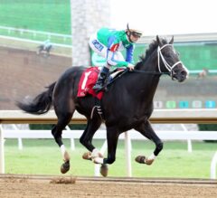 Smarty Jones Stakes Preview: Uncontested Favored in Kentucky Derby Prep