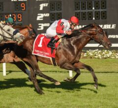 Inspector Lynley Takes Over Late to Win G3 Tampa Bay Stakes