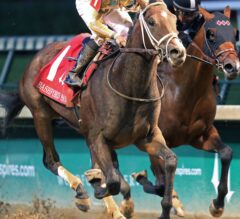 Classic Empire Makes 3-Year-Old Debut in Saturday’s G3 Holy Bull