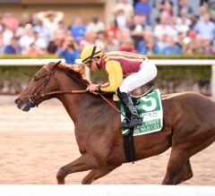 Kentucky Derby Preview: Irish War Cry Looks to Make History From 17 Post