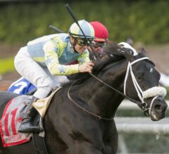 Isotherm Upsets in Thrilling G2 San Marcos Stakes