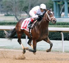 One Liner Takes Steps Towards Kentucky Derby in G3 Southwest Win