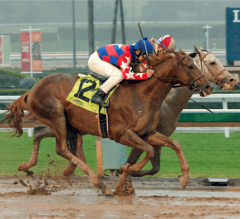 Robert B. Lewis Stakes Preview: Soft Field of Five Lines Up