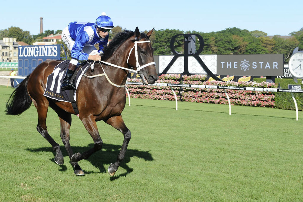 WINX and Hugh Bowman (Credit: bradleyphotos.com.au/)