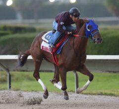Florida Derby Contenders Put in Final Works Saturday