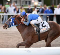 Florida Derby Preview: Gunnevera Looks to Keep the Dream Alive