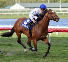 Heart to Heart Repeats in G3 Canadian Turf