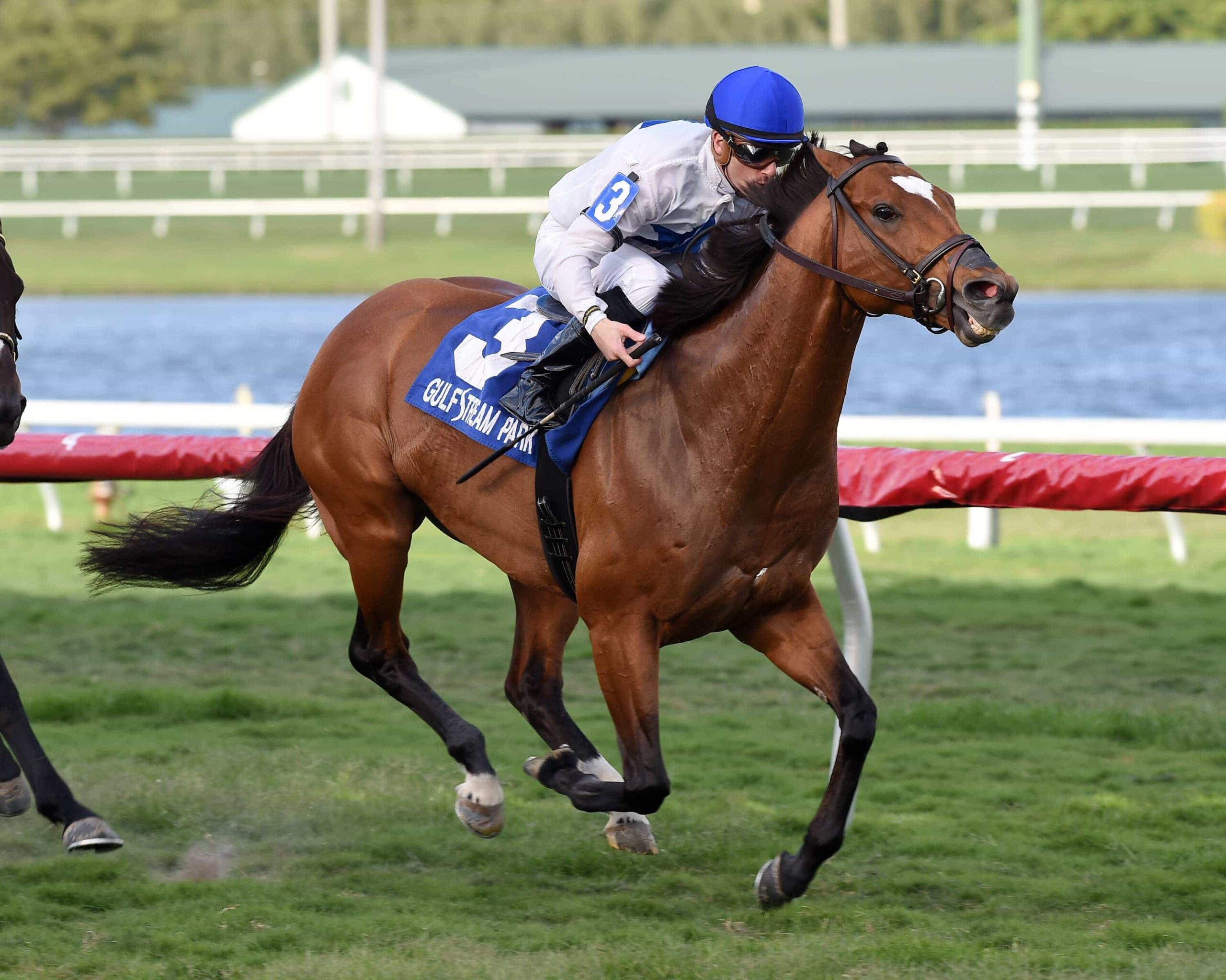 Shadwell Turf Mile Preview: Keeneland is BACK in a Big Way