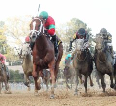Pletcher Does It Again With Malagacy in G2 Rebel Stakes