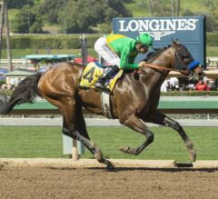 Mastery Dominant in G2 San Felipe, Pulled Up After Finish