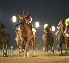 ‘Here Comes Biscuits:’ Mind Your Biscuits Dominates Dubai Golden Shaheen