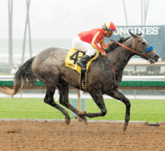 Pretty N Cool Makes Return a Winning One in G3 Las Flores Stakes