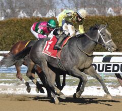 Sunny Ridge Wins Second Straight Stakes in $125,000 Stymie