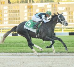 Tapwrit Makes Powerful Move to Win G2 Tampa Bay Derby