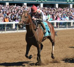 Awesome Slew Upsets A. P. Indian in G3 Commonwealth