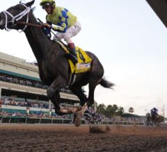 Always Dreaming Adds to Pletcher’s Dominance in G1 Florida Derby Romp