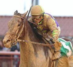 Imperative Rallies to Win Second $1,250,000 Charles Town Classic