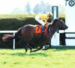 American Runners Ready for Royal Ascot Glory