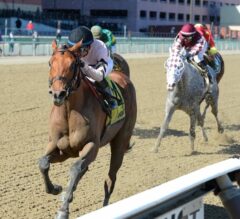 Long Haul Bay Too Strong in G3 Bay Shore