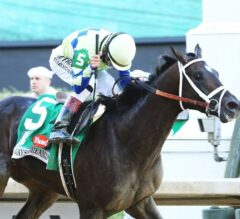 Top 5 Worst Kentucky Derby Winners of the 2000s: 2018 Edition