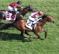 Divisidero Powerful Late, Overtakes Beach Patrol in G1 Woodford Reserve