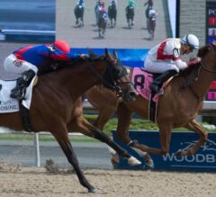 Dragon Bay Shocks in G2 Eclipse Stakes at Woodbine