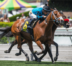 Stormy Liberal Confidently Handles Field in G3 Daytona Stakes