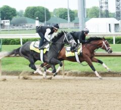 Belmont Park Notes: Tapwrit Works to G1 Belmont, Patch Possible