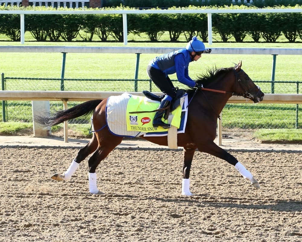 Thunder Snow Makes First Visit to Churchill Downs ... - 1000 x 800 jpeg 188kB