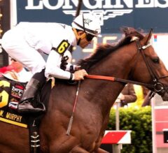 Belmont Derby Preview: Fantastic Betting Opportunity Awaits