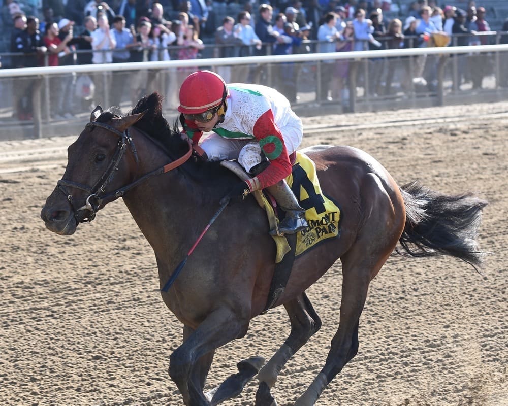 Connect Returns in Dominating G3 Westchester Win