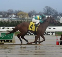 Peter Pan Stakes Preview: Timeline Heads Belmont Stakes Prep