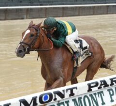 Haskell Stakes Preview: Competitive Field Set to do Battle