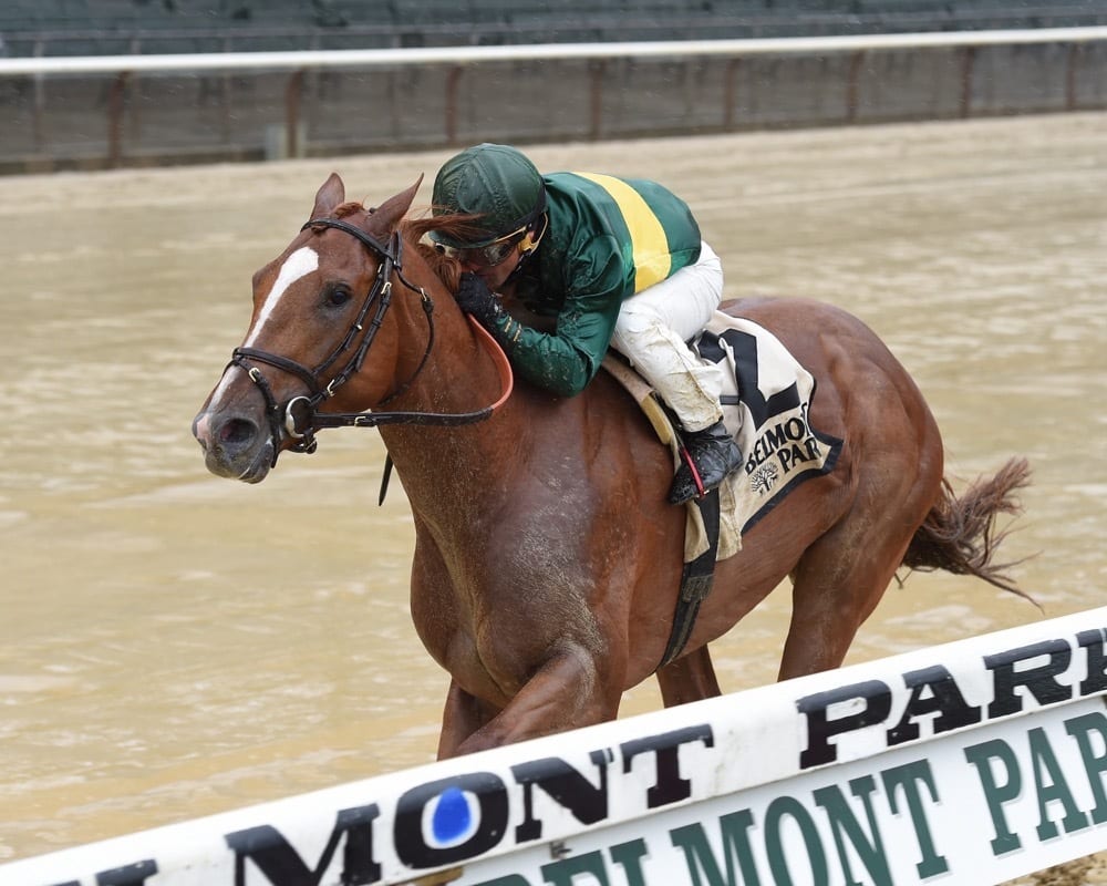 Haskell Stakes Preview Competitive Field Set to do Battle
