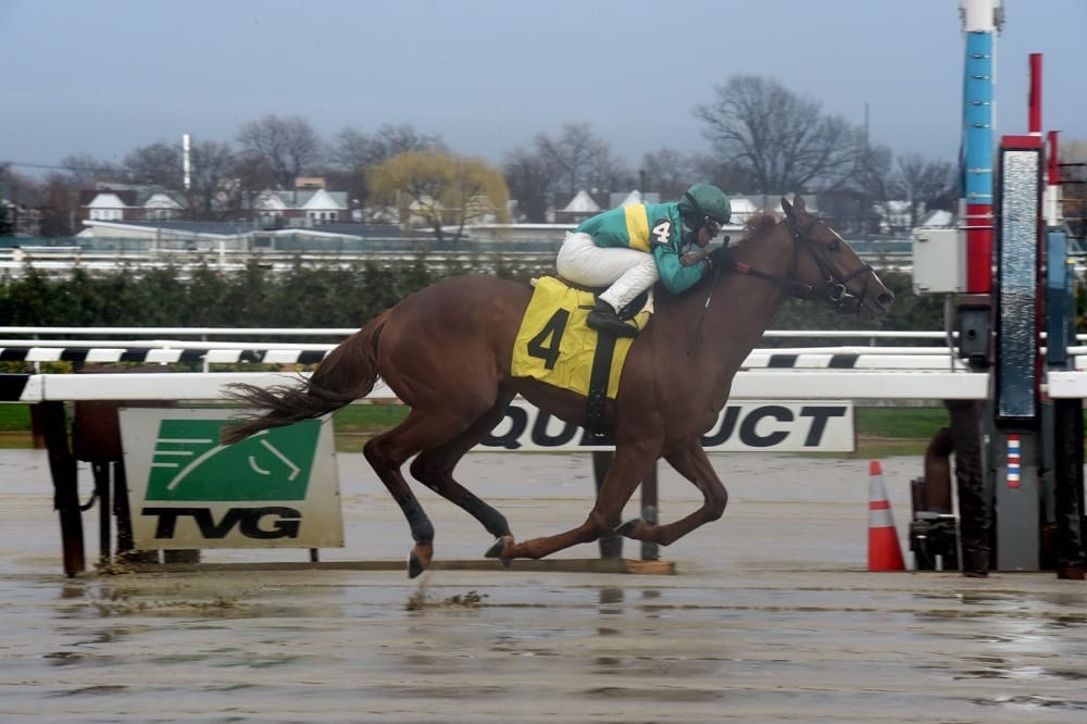 Peter Pan Stakes Preview Timeline Heads Belmont Stakes Prep