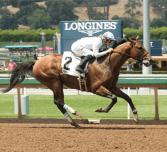 Battle of Midway Looks at Haskell After G3 Affirmed Stakes Win