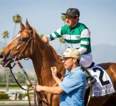 Breeders’ Cup Distaff Preview: Stellar Wind Set for Third Breeders’ Cup Try