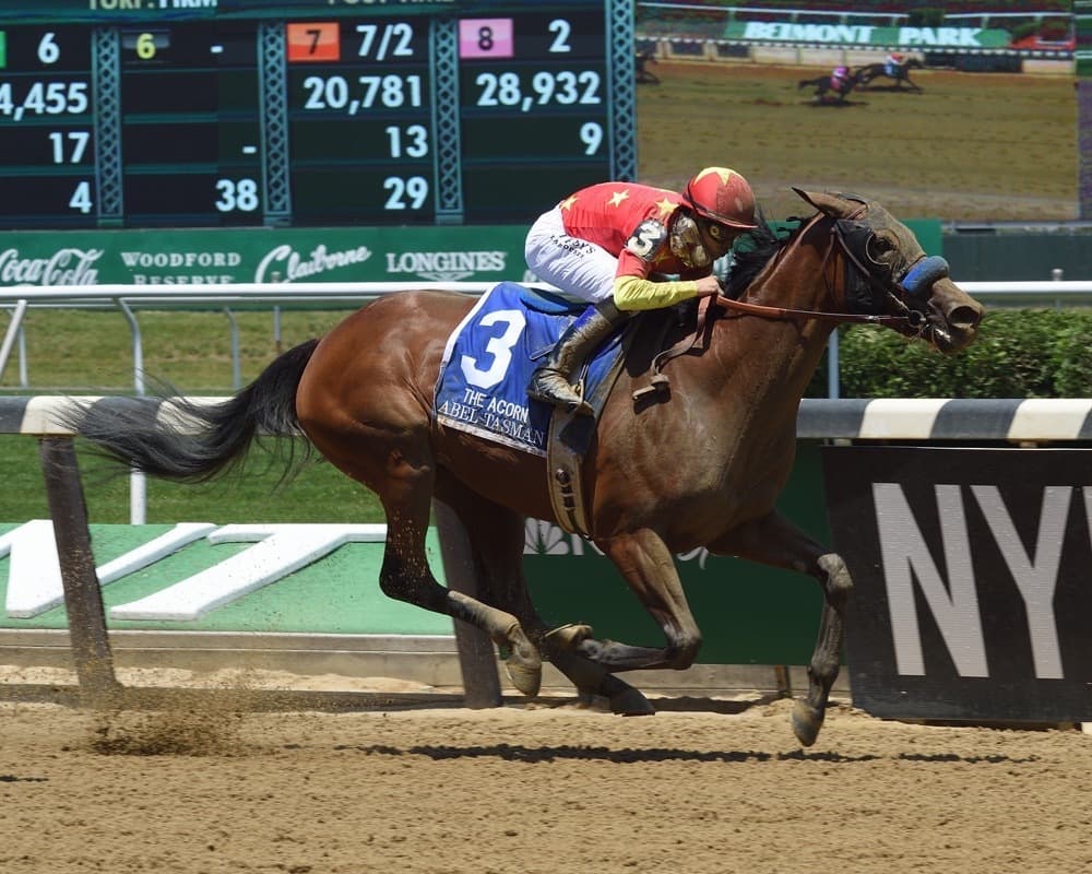 Cotillion Stakes Preview Abel Tasman Goes for Four in a Row