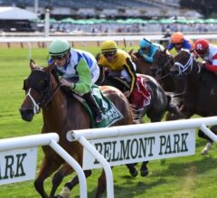 Hawksmoor Never Threatened in Wire-To-Wire G2 New York