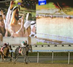 A Guide to Horse Racing in Dubai