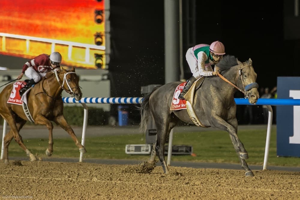 Racing Dudes Top 5 Races of 2017