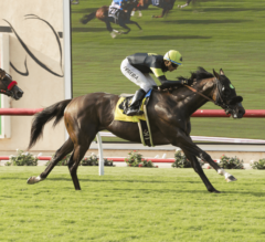 Bowies Hero Wins Opening Day Oceanside Stakes at Del Mar