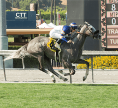 Enola Gray Ultra-Impressive in Front-Running G3 Wilshire Stakes Win