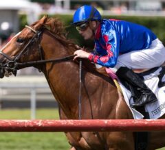 Sonic Boom Wires G3 American Derby at Arlington Park