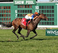 Chad Brown Caps Big Day with Wekeela in G3 Matchmaker
